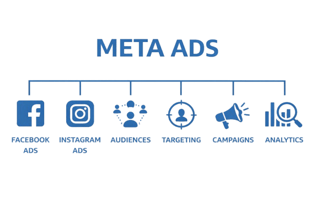 chatgpt image feb 19 2026 02 08 09 pm removebg preview (1)