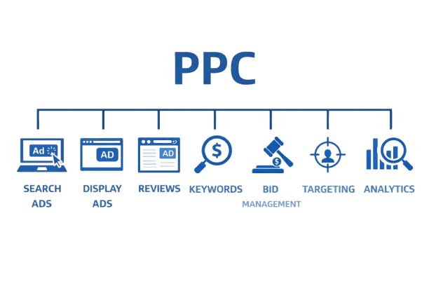 chatgpt image feb 19 2026 03 00 21 pm removebg preview (1)